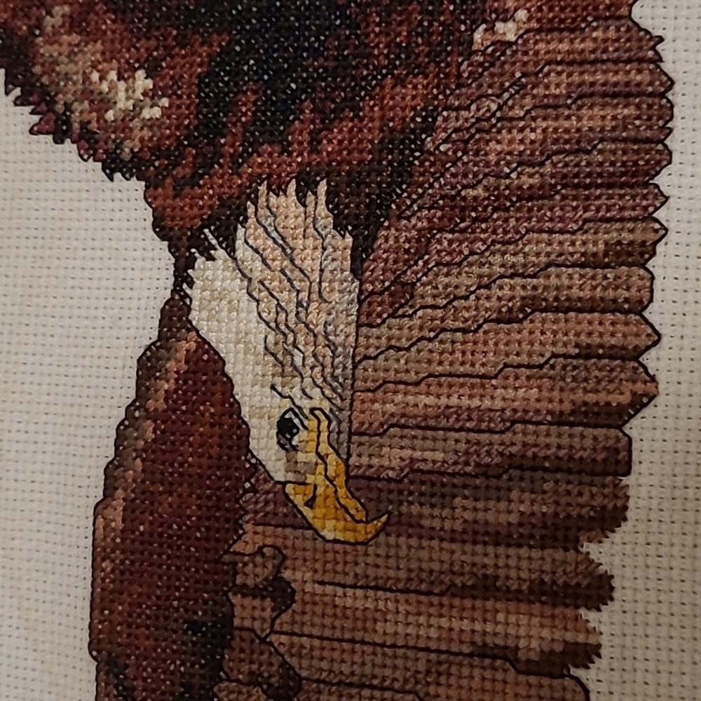 Vintage Flying Eagle Finished Cross Stitch Sampler - Picture 8 of 15